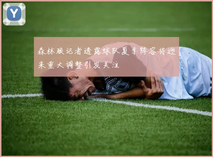 森林狼记者透露球队夏季阵容将迎来重大调整引发关注