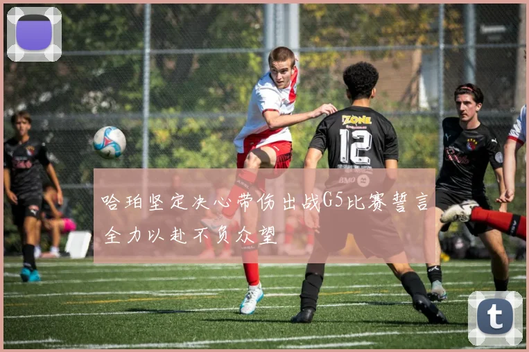 哈珀坚定决心带伤出战G5比赛誓言全力以赴不负众望