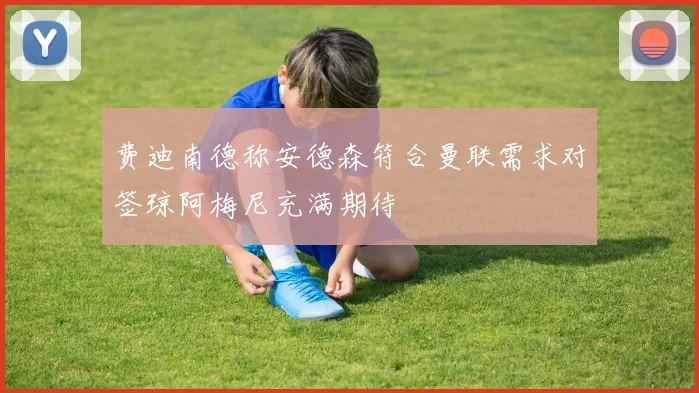 费迪南德称安德森符合曼联需求对签琼阿梅尼充满期待